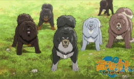 藏獒多吉 动漫,勇闯雪域的传奇冒险